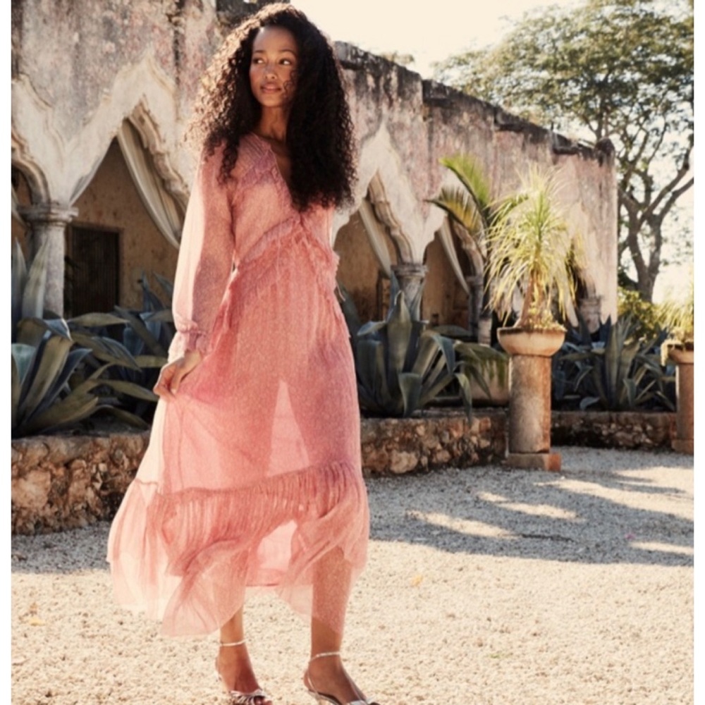 DOEN Saffron Dress Carnation Bloom Print Pink XS